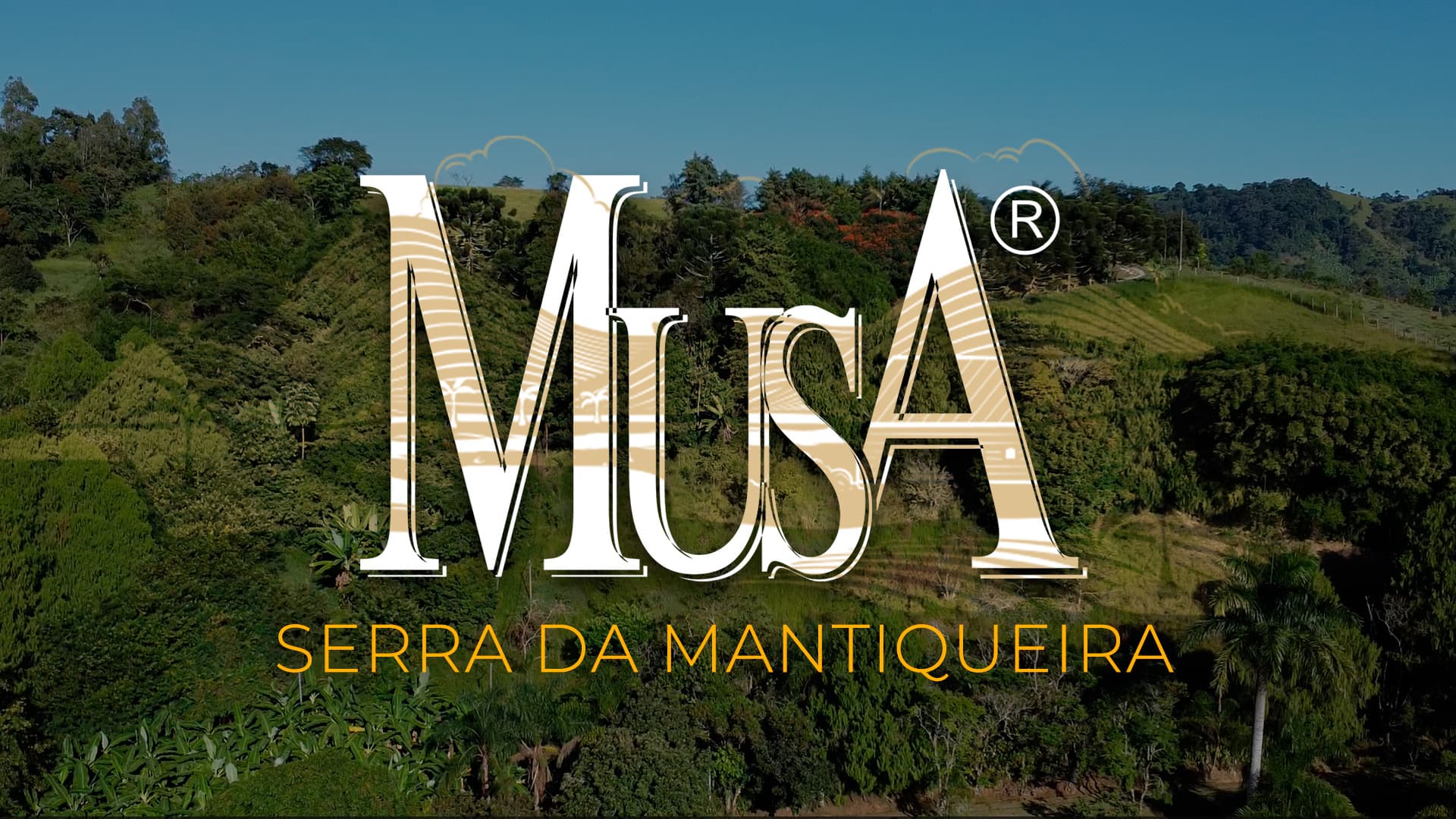 Ambiente da Cervejaria Musa